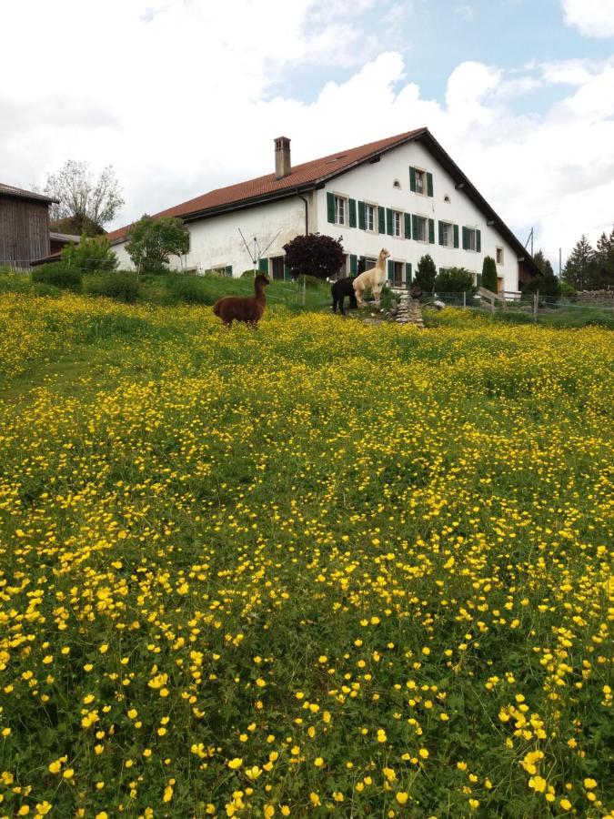 Ferme O'Cles Apartment Le Peuchapatte Екстериор снимка